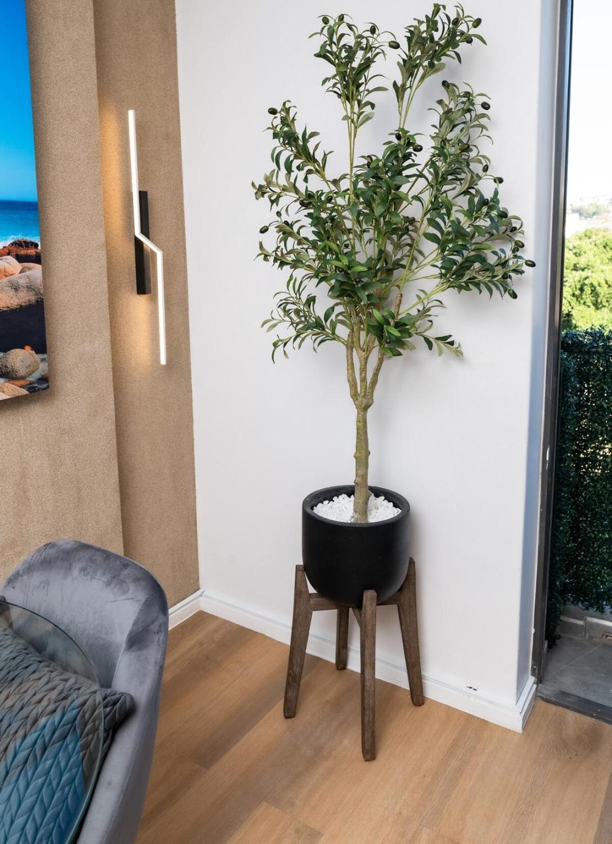 Micro-luxurious In Cbd